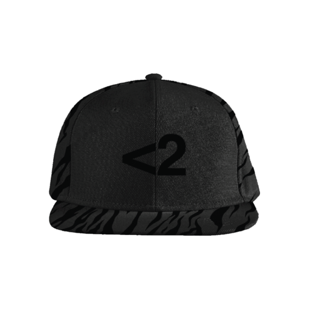 Logo Hat - 2hollis Official Store
